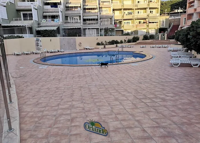 Orlando Playa Americas Apartment